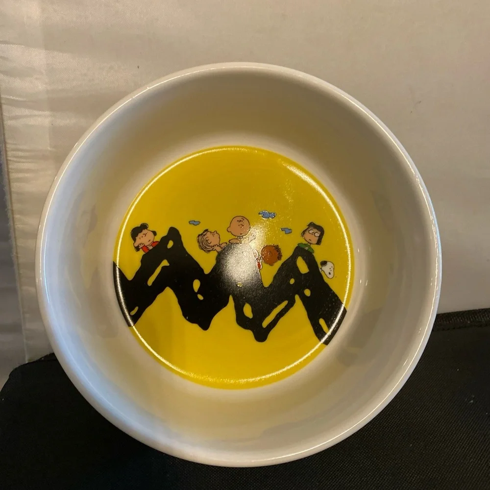 Snoopy peanuts dog dish